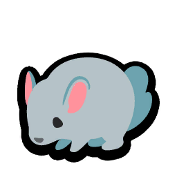 Chinchilla