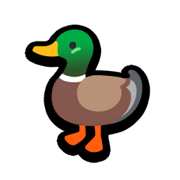 Duck