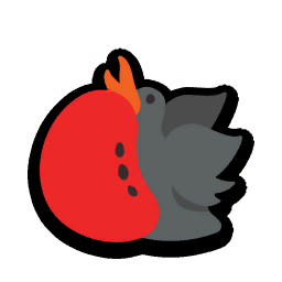 Frigatebird