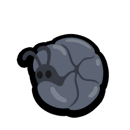 Pillbug