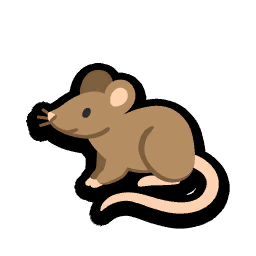 Dirty Rat