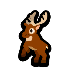 Reindeer