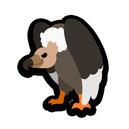 Vulture